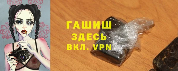 хмурый Абаза