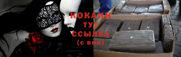гашик Новодвинск