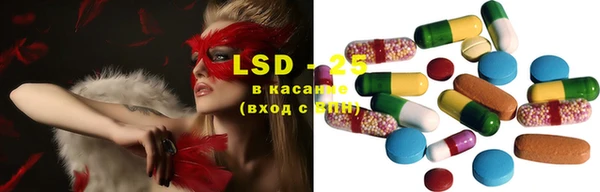 хмурый Абаза