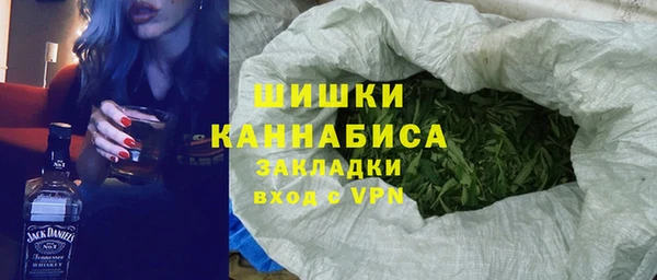 хмурый Абаза