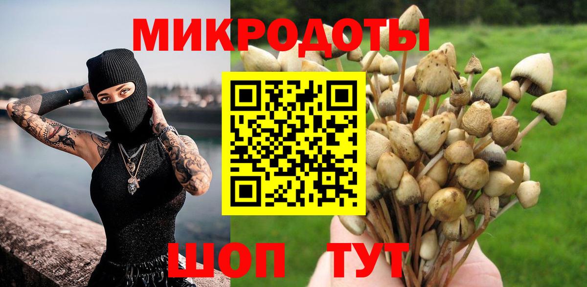 Галлюциногенные грибы Psilocybe Серпухов