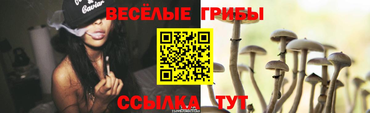 Псилоцибиновые грибы прущие грибы  Псилоцибиновые грибы прущие грибы  Серпухов  Вход с VPN 